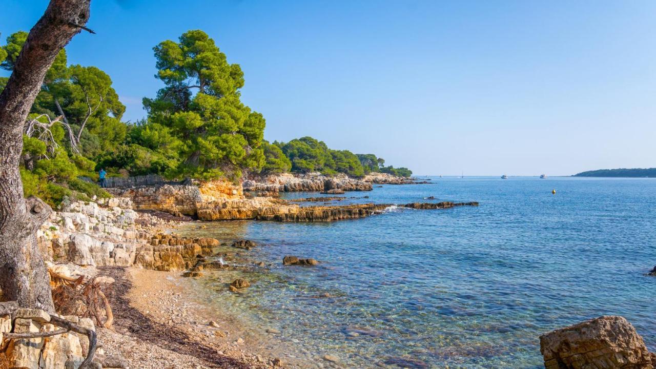 Rez-De-Villa Mougins Buitenkant foto