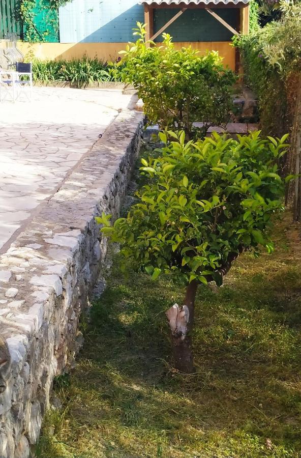 Rez-De-Villa Mougins Buitenkant foto